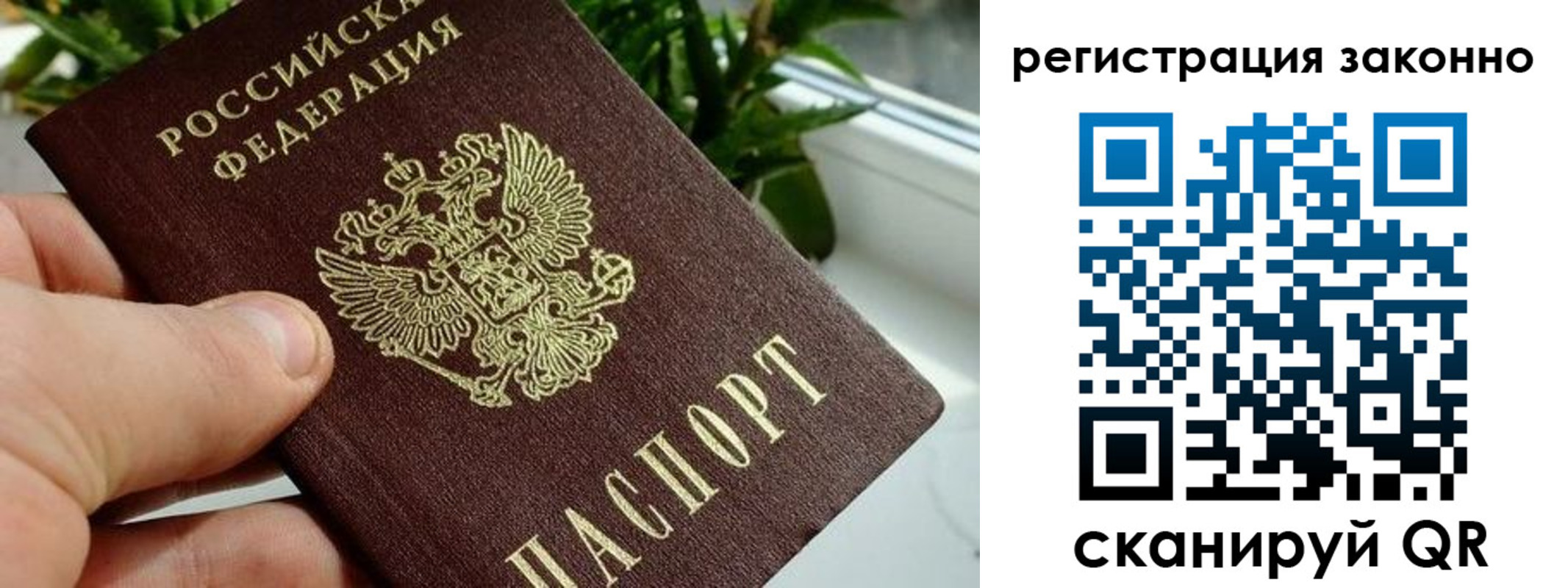 прописка гарантия в Калаче-на-Дону